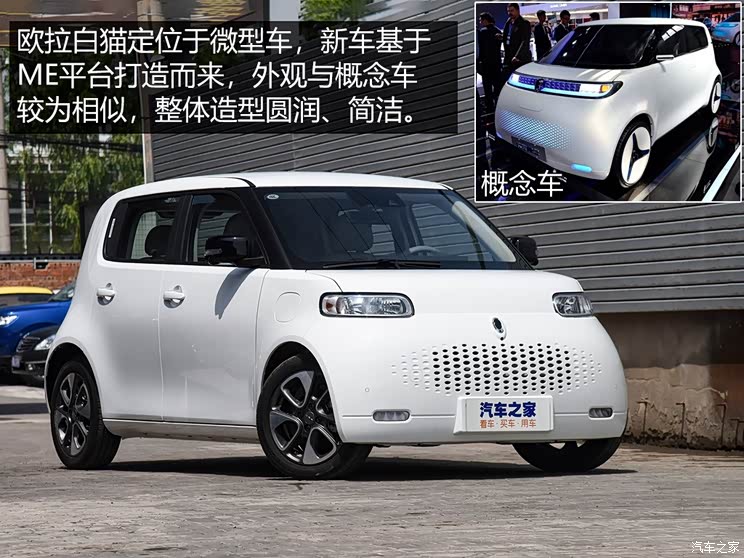 长城汽车 欧拉白猫 2020款 401km 旗舰型
