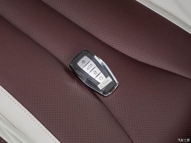 吉利汽车 星越L 2021款 2.0TD 高功自动四驱尊贵型 盲订用户优先交付 星越L于7月20日上市