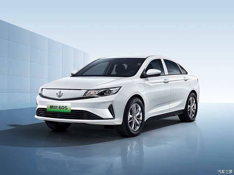 睿蓝汽车 枫叶60S 2022款 易行版 三元锂 2月销量快报:销售淡季几家欢喜几家愁