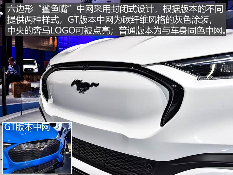 福特(进口) Mustang Mach-E 2020款 标准续航全驱版