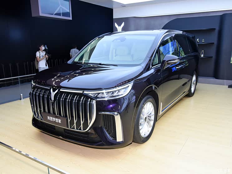 嵐圖汽車 夢想家 2022款 基本型 嵐圖汽車 夢想家 2022款 基本型