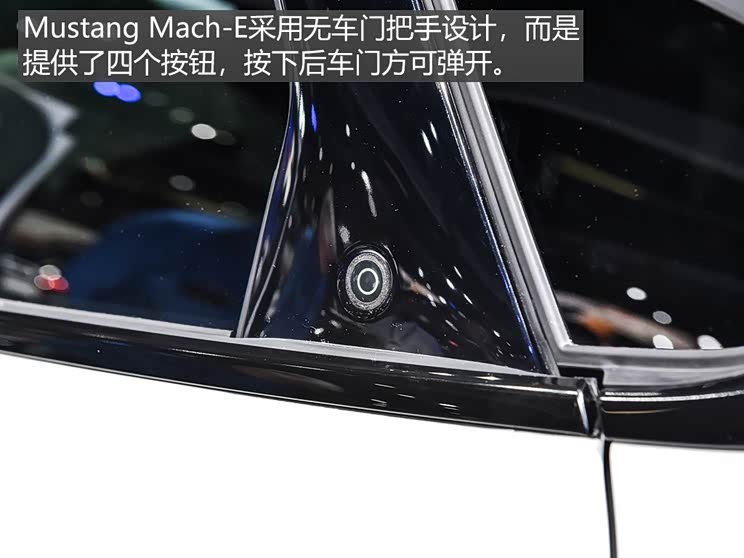 福特(进口) Mustang Mach-E 2020款 标准续航全驱版