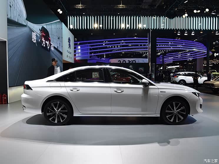 |L(fng)(bio) (bio)508Դ 2019 