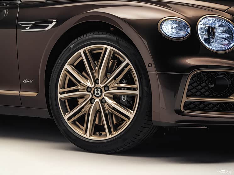 傲世而出 飞驰插电混动版限量车型官图