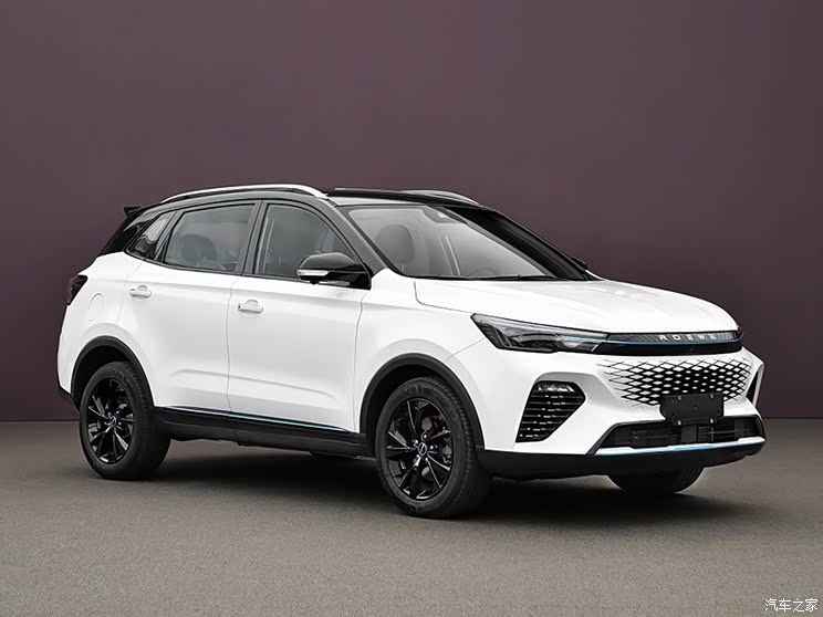 上汽集團(tuán) 龍貓 2022款 基本型 上汽集團(tuán) 龍貓 2022款 基本型