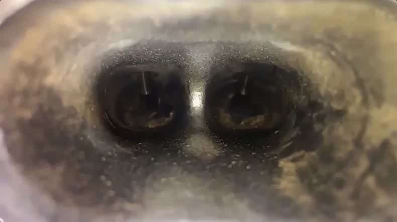 清洗前的进气道和进气门，满是积碳（实拍）