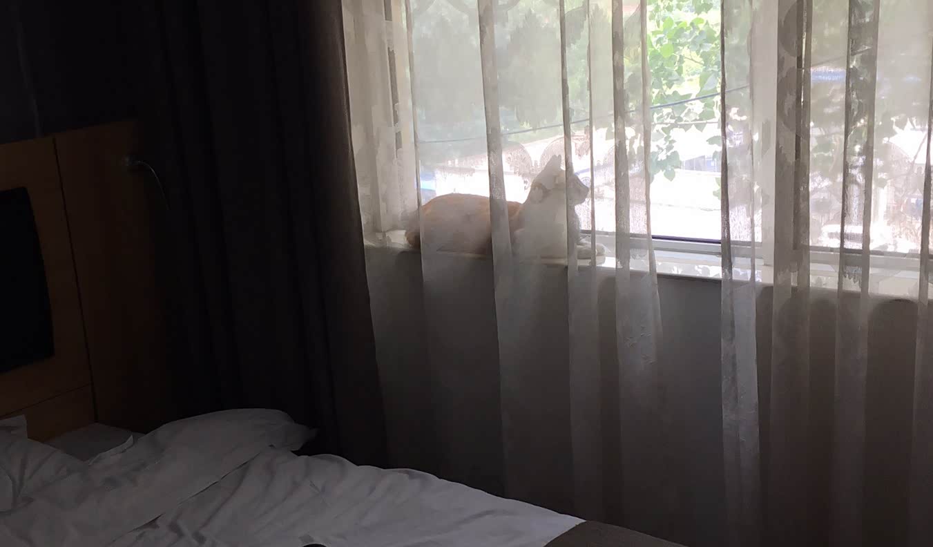 刘能不能出门，就趴在窗台上，这里离自由最近