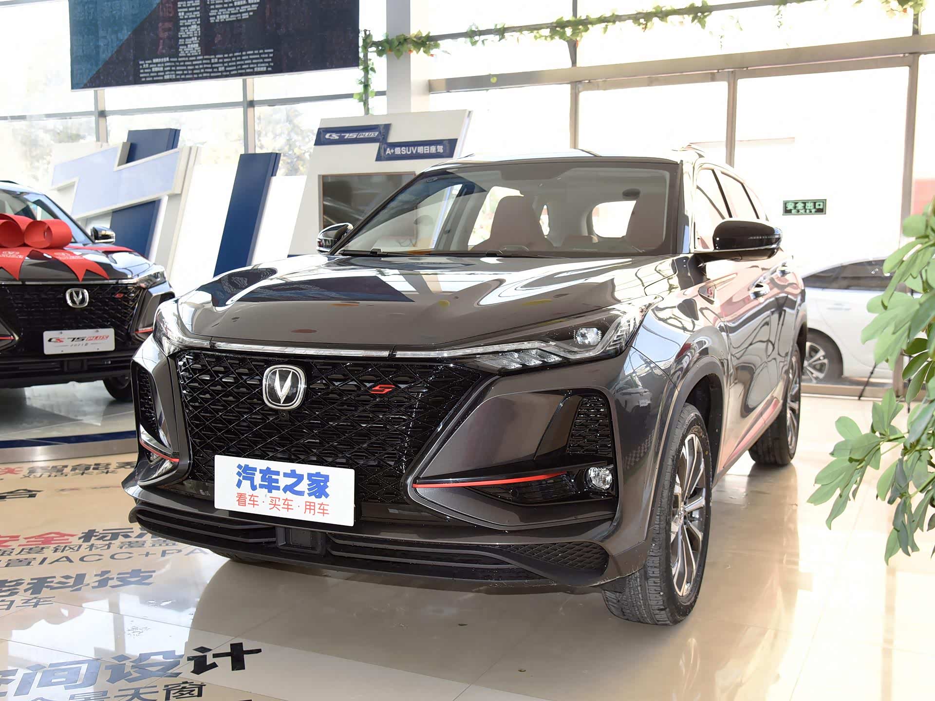 /引自汽车之家图库