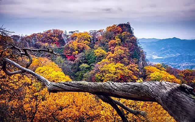 沈阳车主自驾游：抚顺天女山风景区-群山环绕云雾仙境！