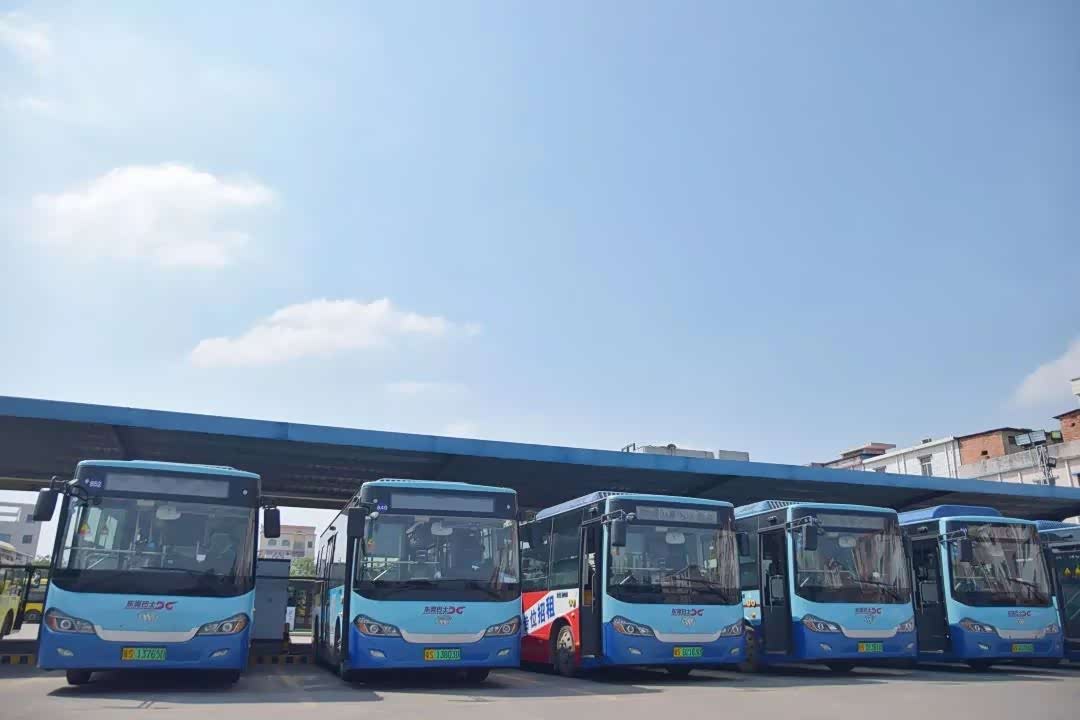 图源东莞巴士
