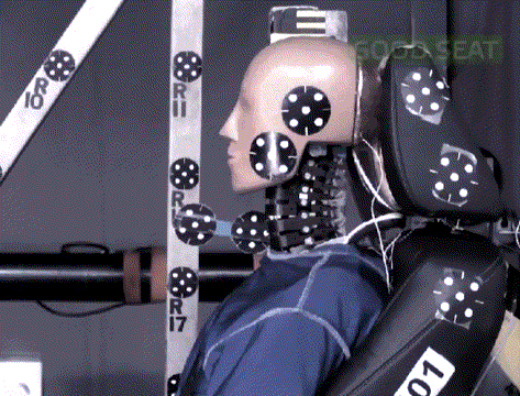 图36 近头枕保护作用 源自ENCAP