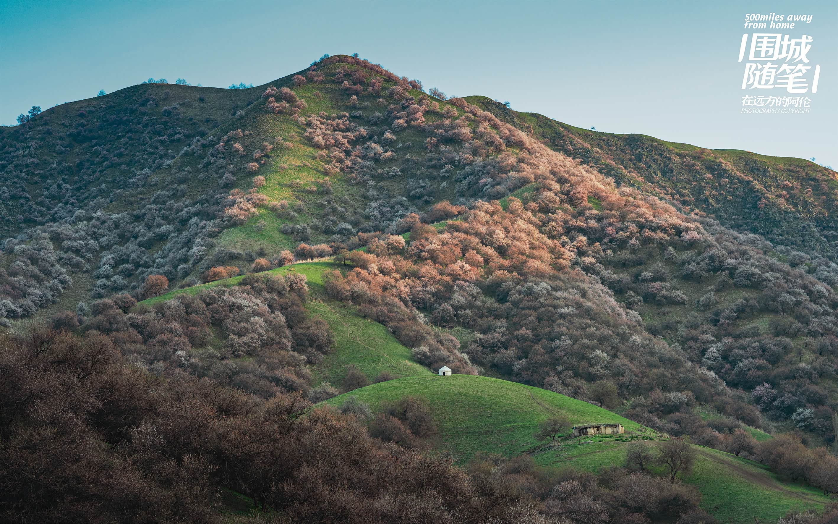 朝阳还没照亮整个山谷，这也是光线最好的时候。