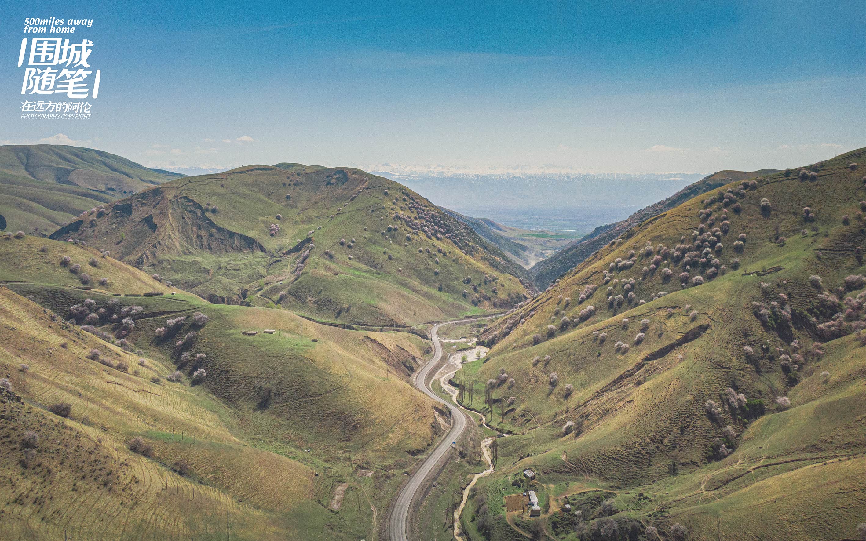 朝南| 远处群山是那拉提山
