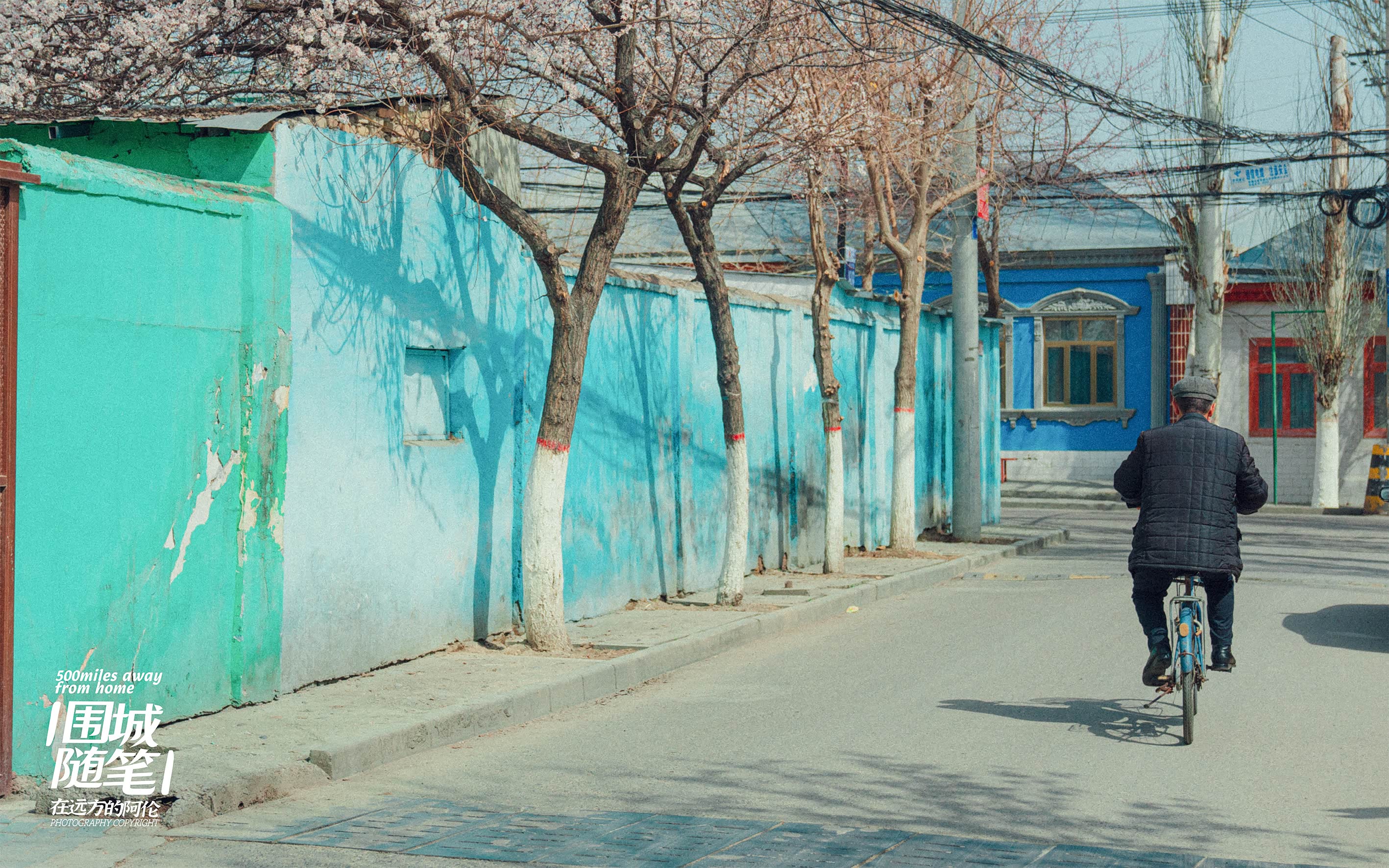 连大爷骑的单车都是蓝色的