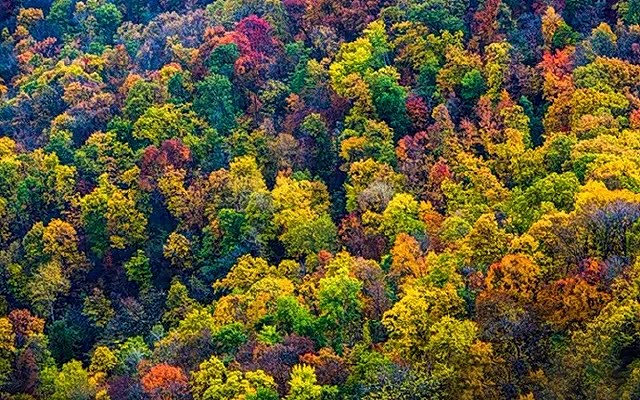 沈阳车主自驾游：抚顺天女山风景区-群山环绕云雾仙境！