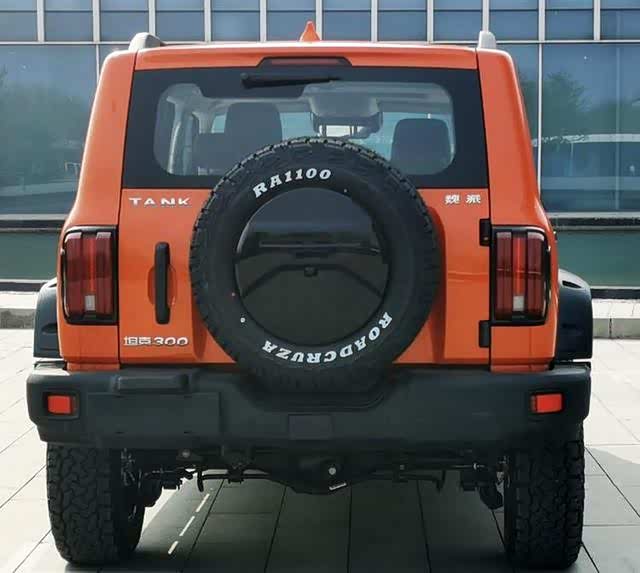 坦克300游侠版申报图