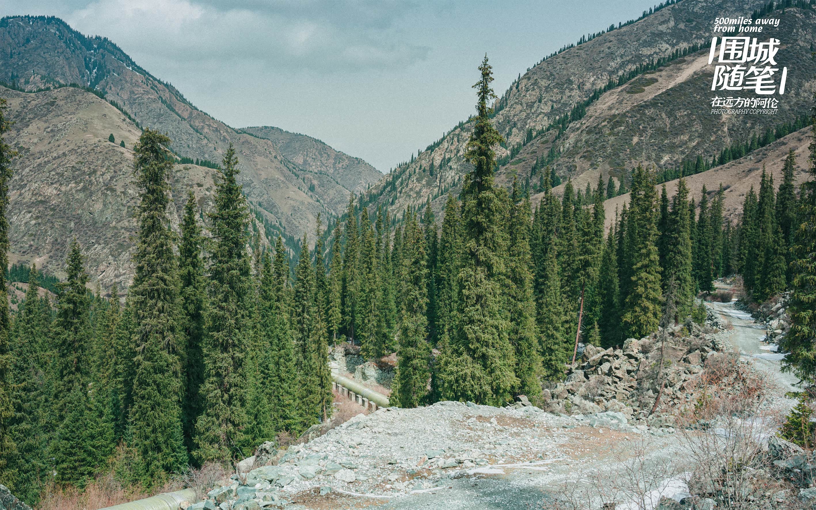回望来时的路，下面有个水电站还有一只恶犬