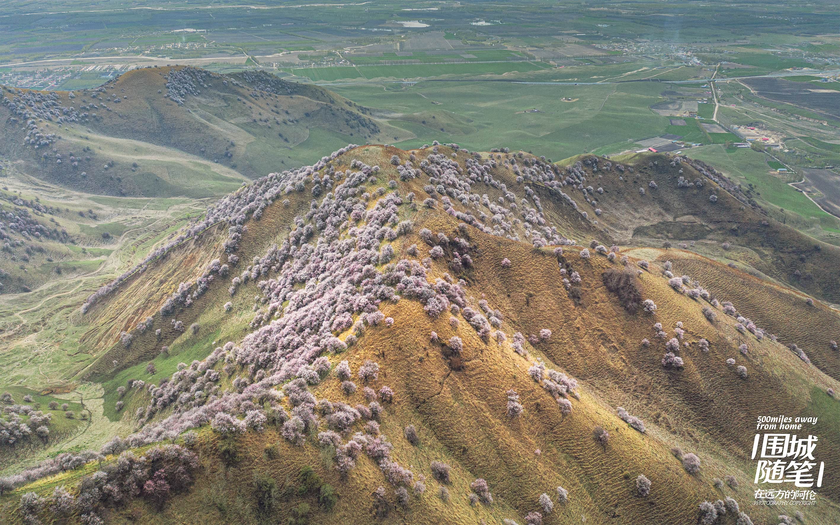 朝南| 巩乃斯河北岸的山坡上全部都是杏花