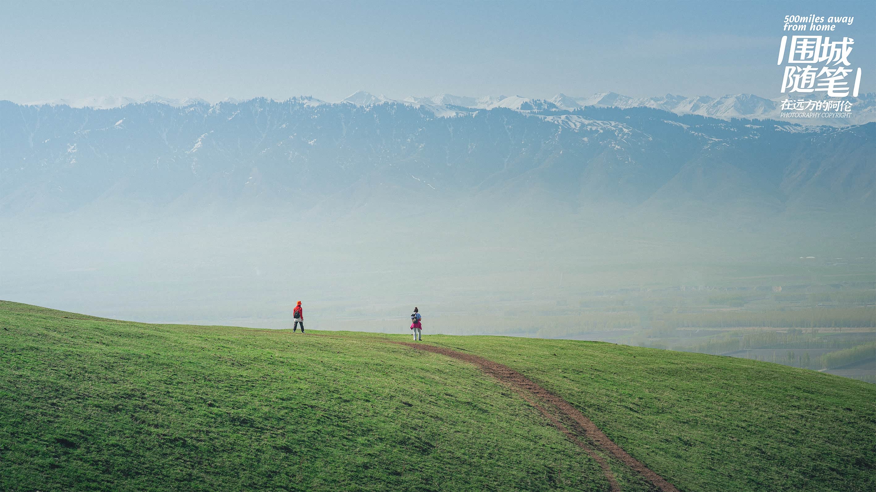 草坡对面的雪山，就是那拉提山
也是新疆雪岭云杉最为集中的区域