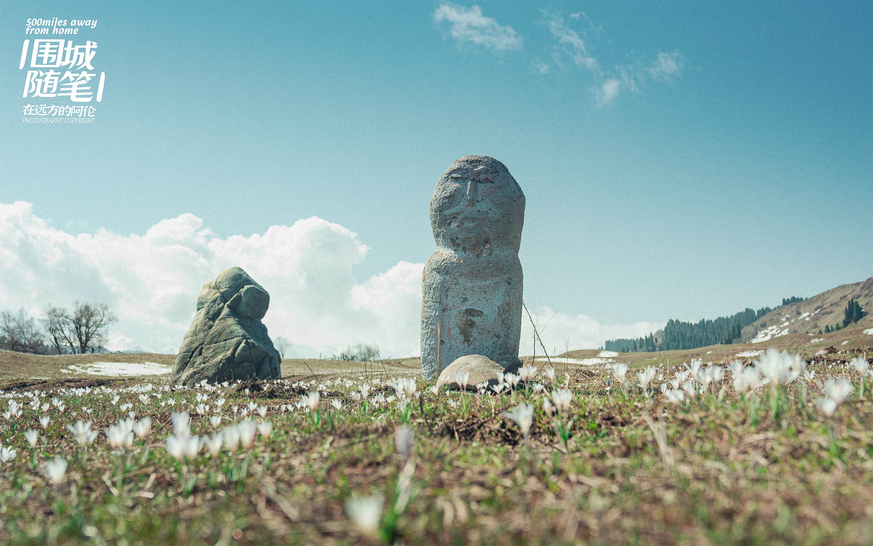 山坡上的草原石人