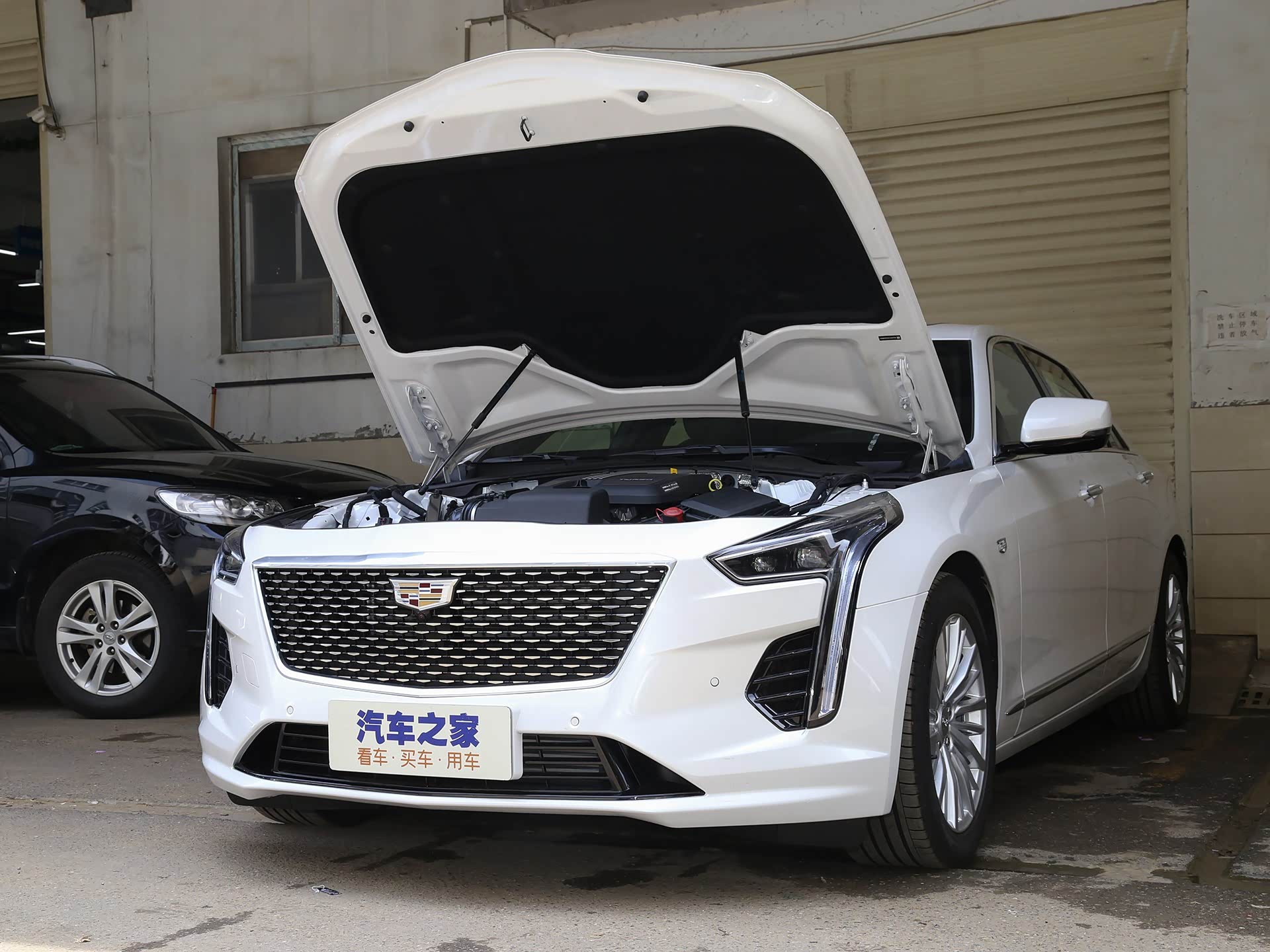 /引自汽车之家图库