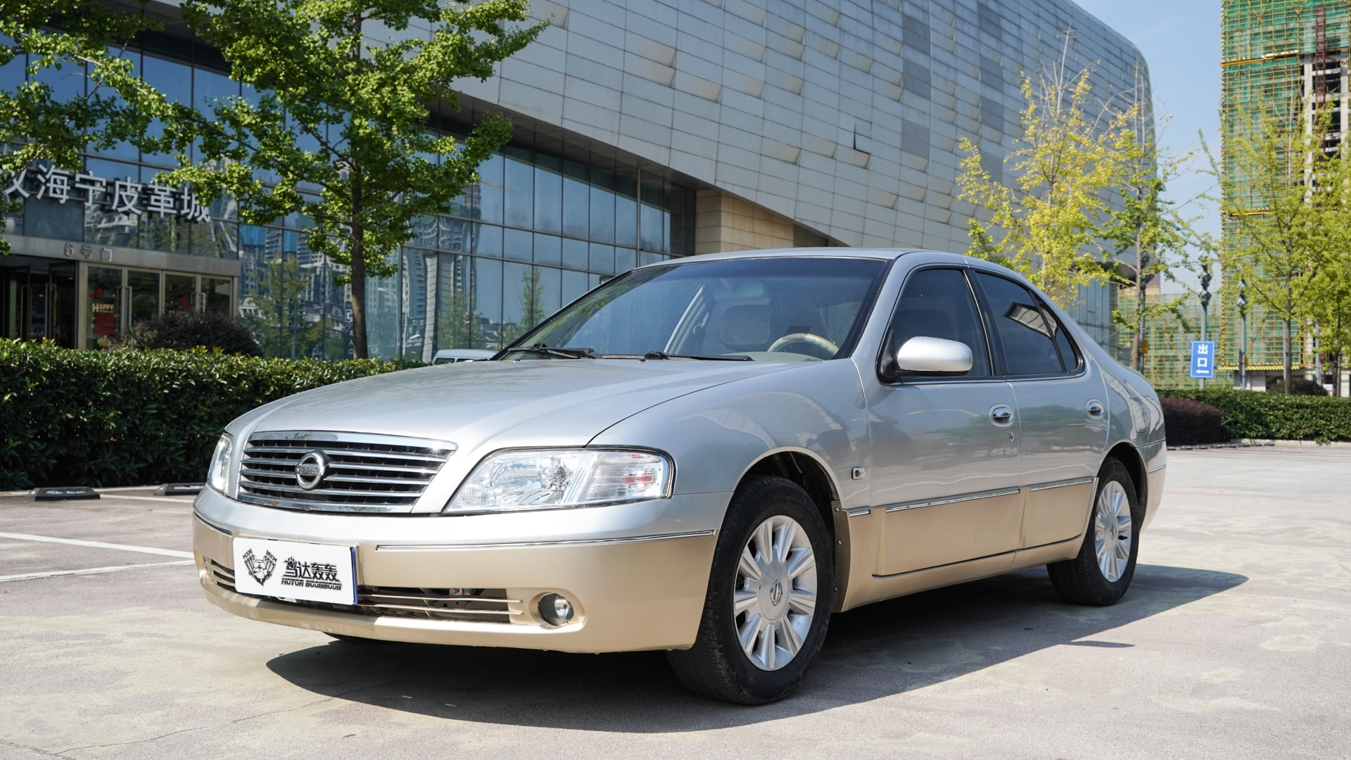 远看像风雅，近看像天籁，怼上去看才知道。哦！原来是蓝鸟。