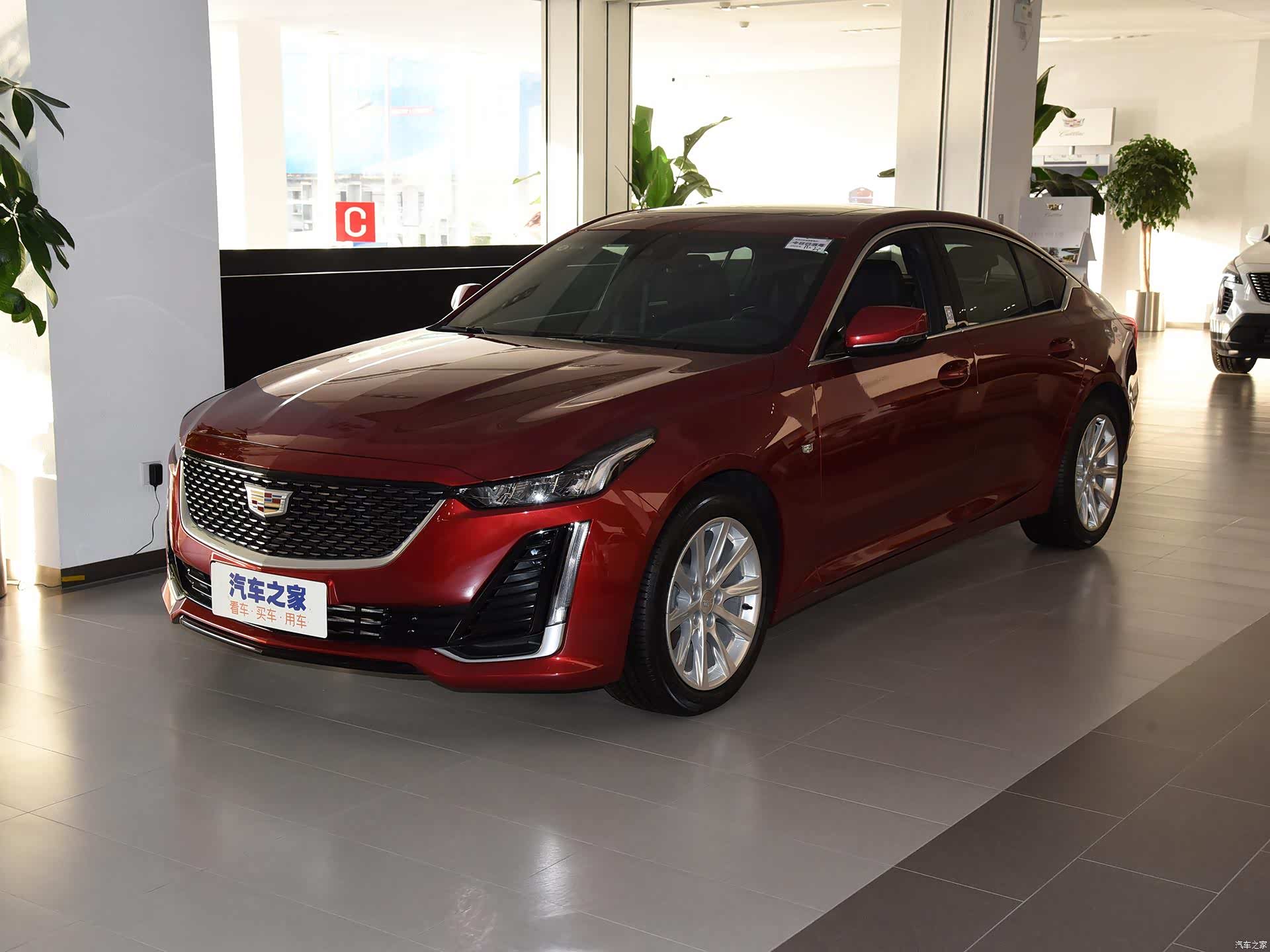 /引自汽车之家图库