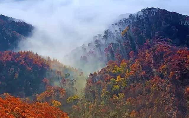 沈阳车主自驾游：抚顺天女山风景区-群山环绕云雾仙境！