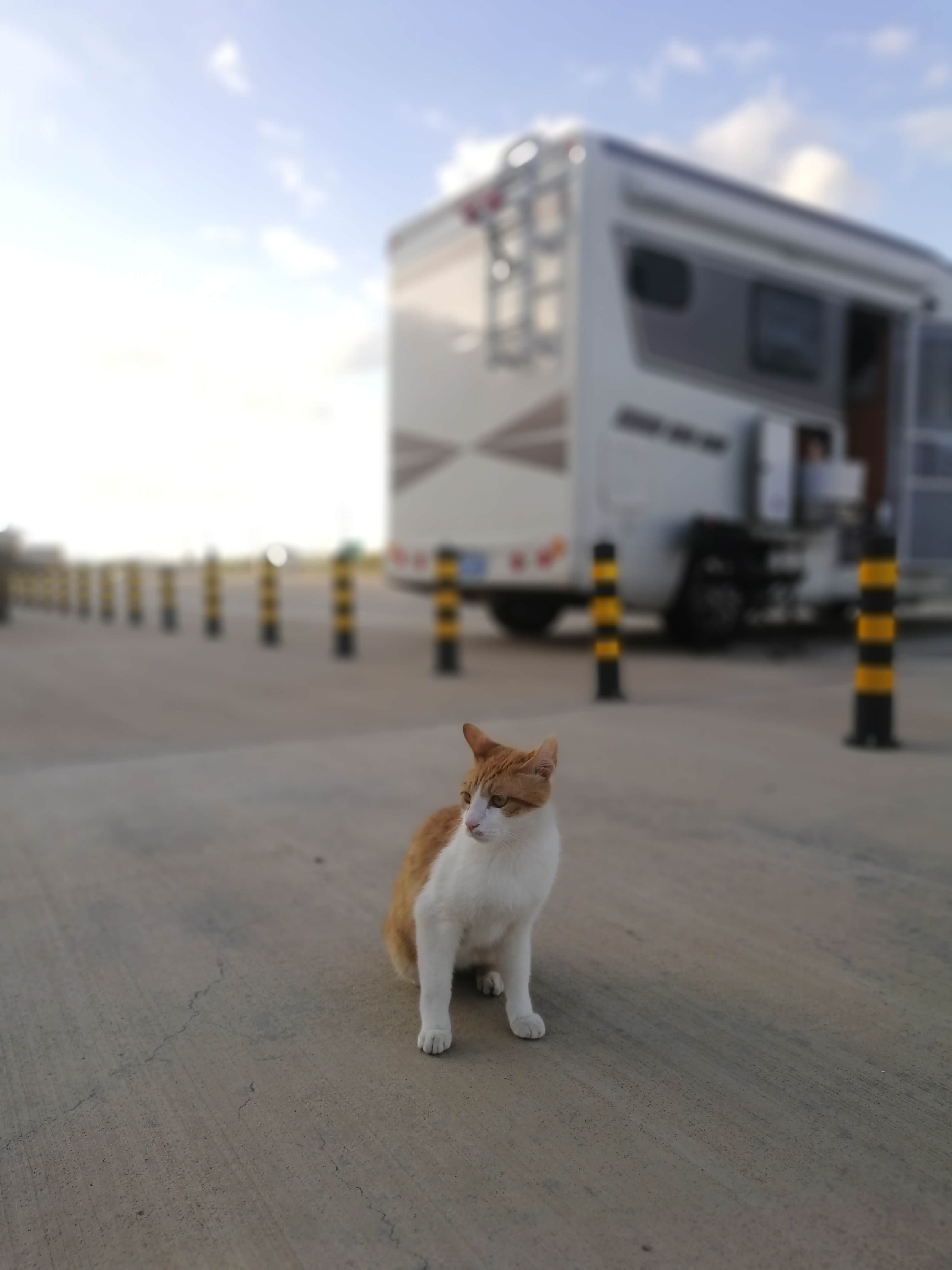 每到一个营地，对刘能来说，总要经过强龙地头蛇的争斗好戏