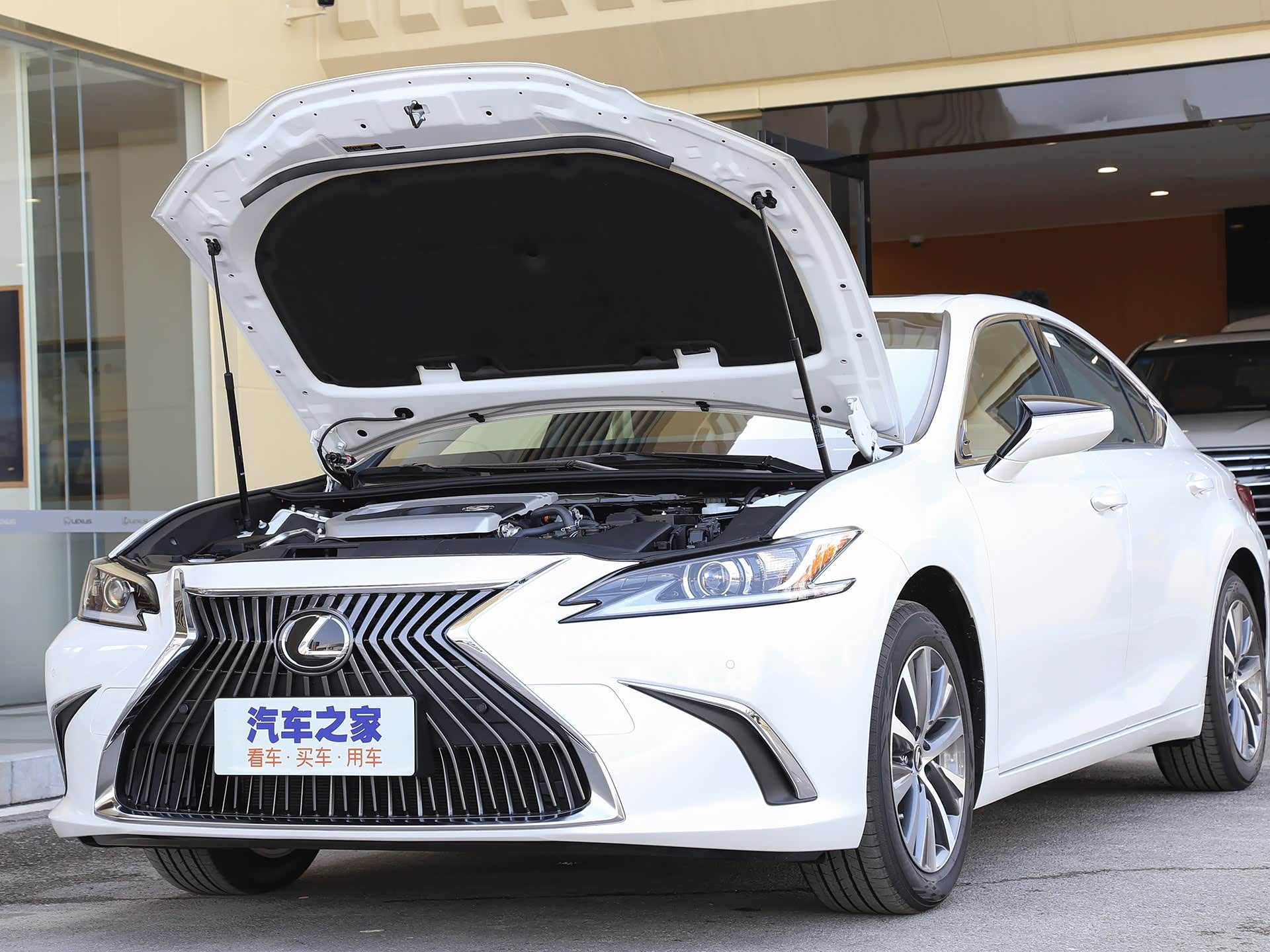 /引自汽车之家图库