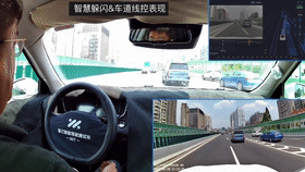 智能躲闪&车道线控表现