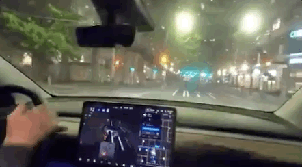 场景一：自动转弯之后径直向道路中央的绿植撞了过去