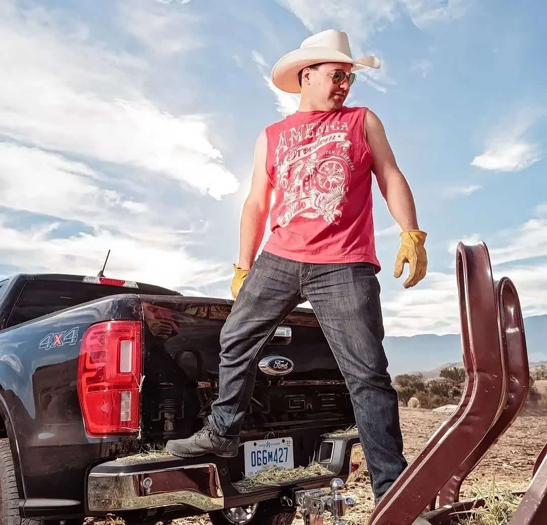 （图片来源网络）