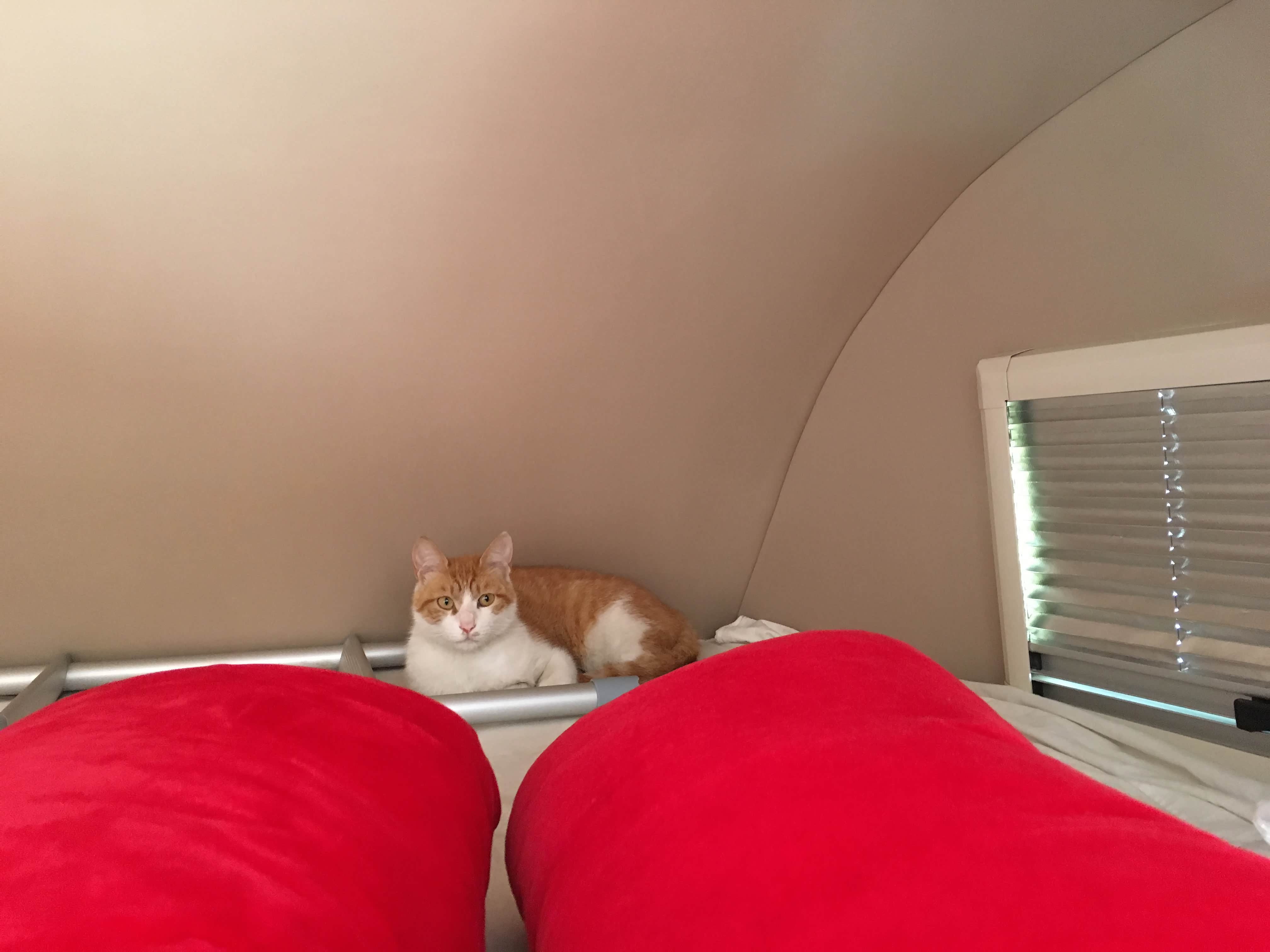 上午我们离开时，刘能在这里睡下了和我们告别