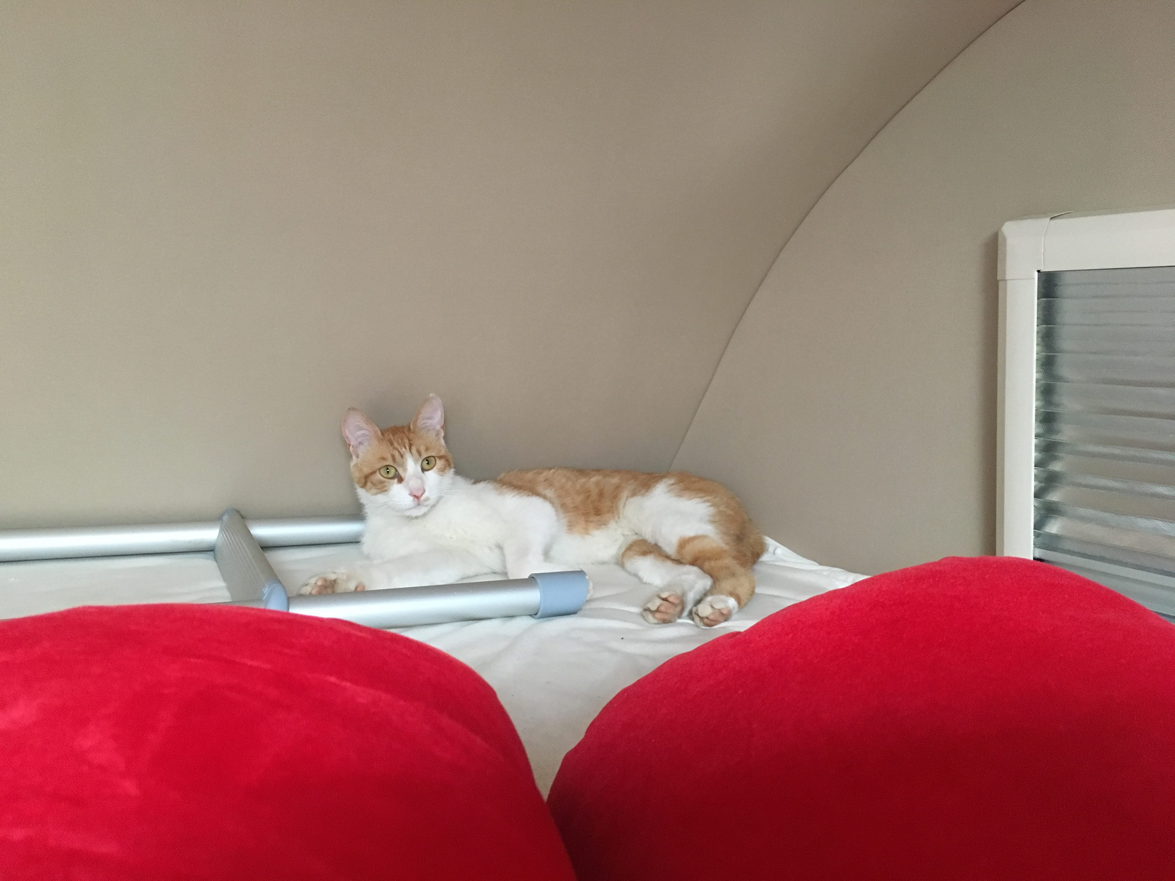 下午我们回来时，刘能还时在这个位置，并没有意识到到我们出过国了