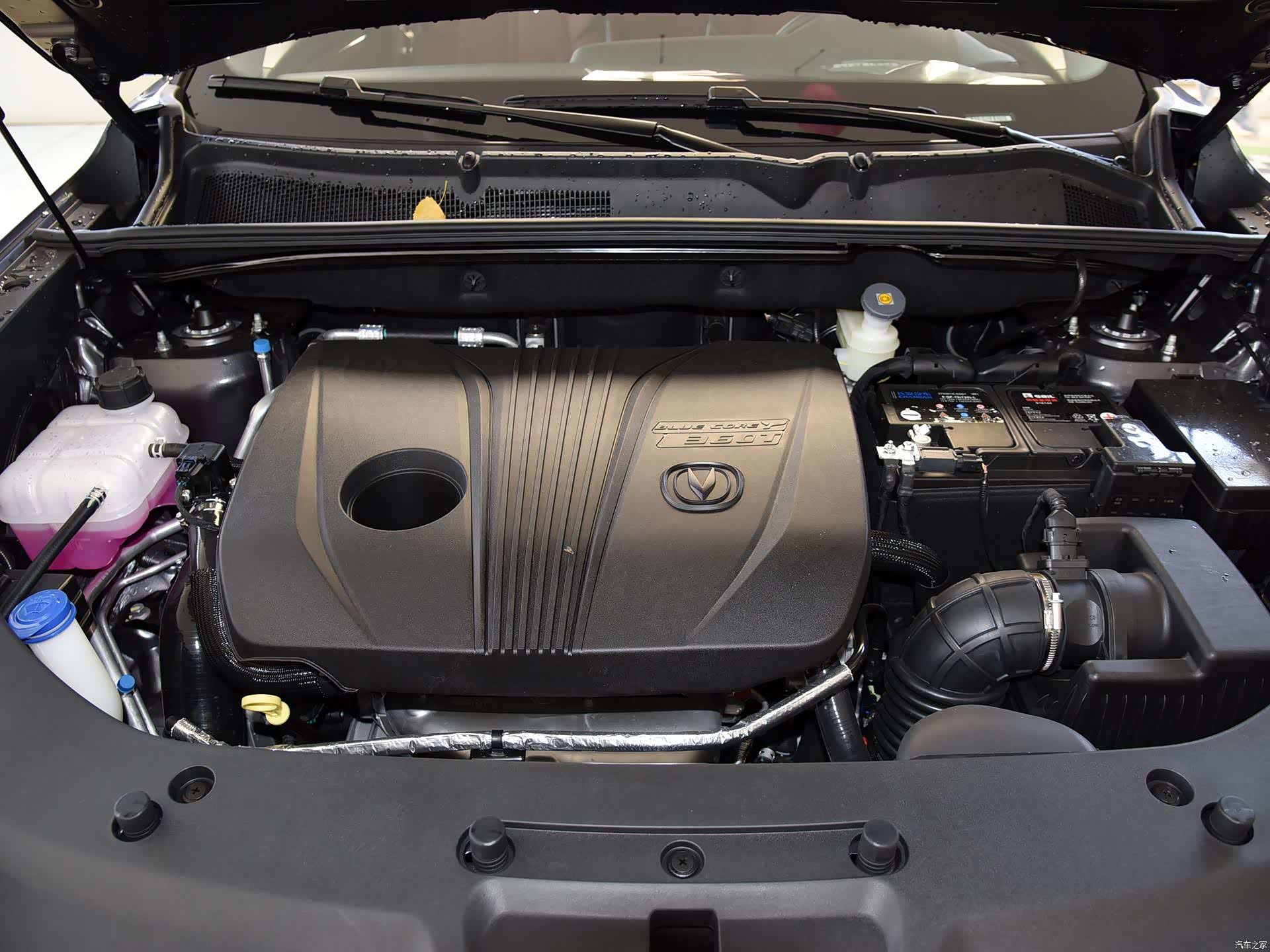 /引自汽车之家图库