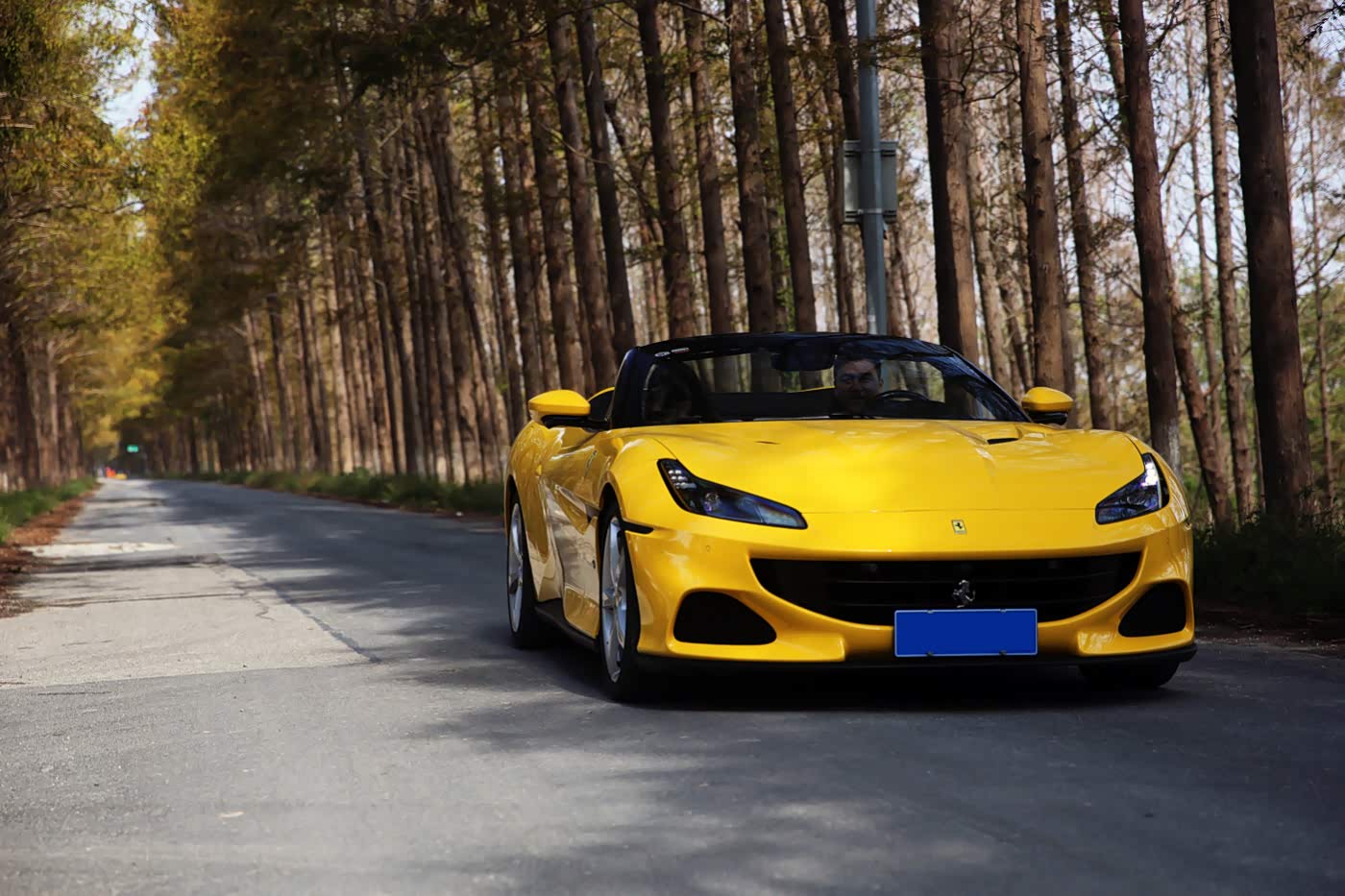 这个有点像咧嘴微笑的前脸， 和所有其他的法拉利一样， 没有前牌照会更美。