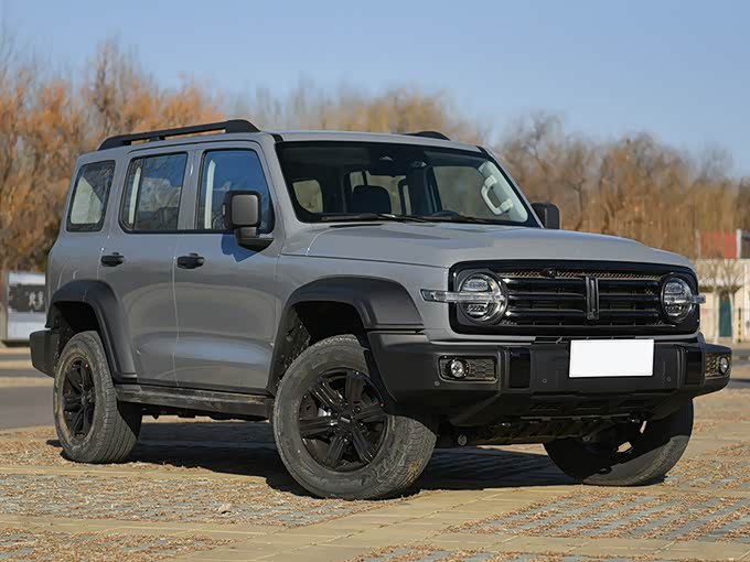 （图为WEY坦克300）