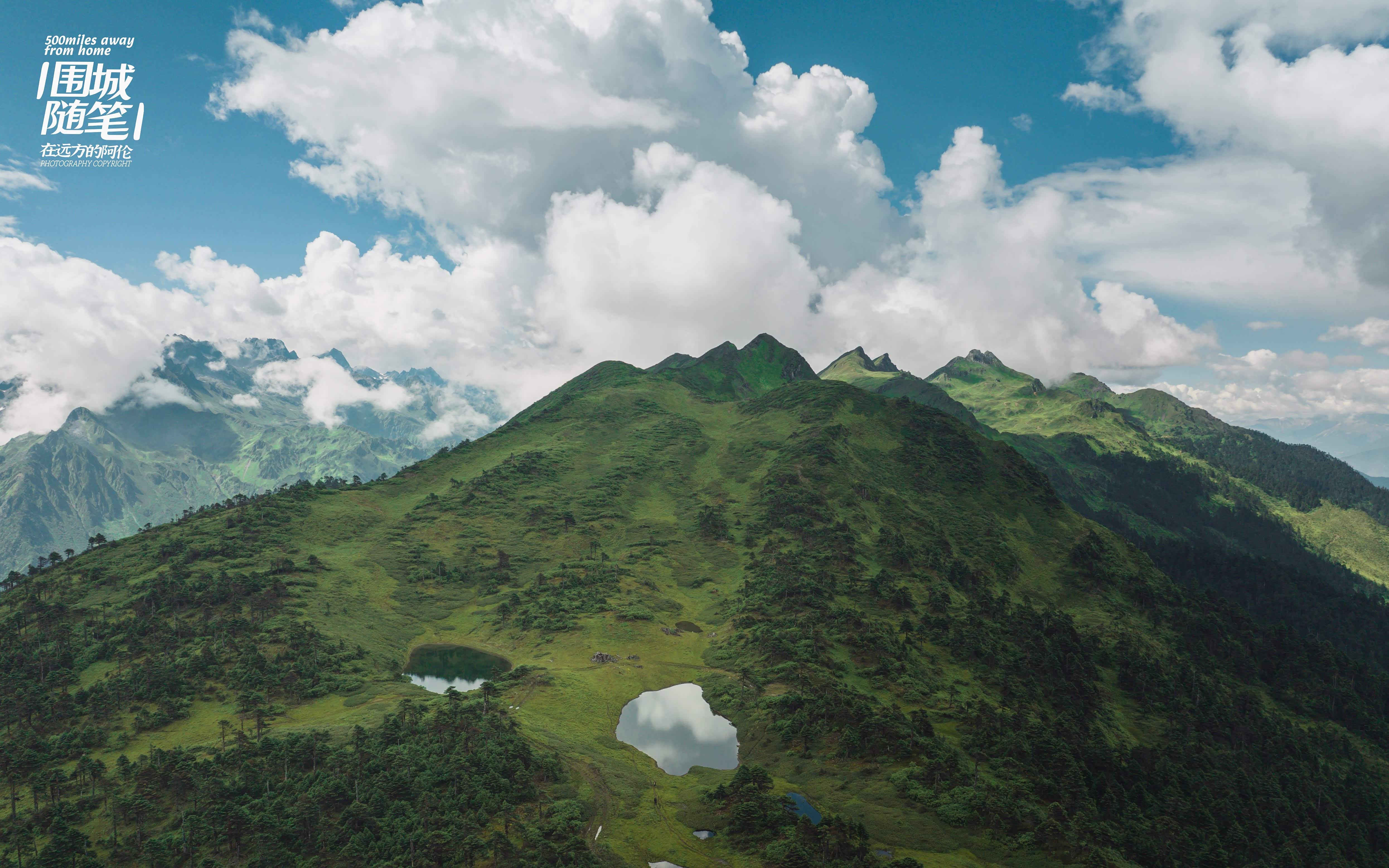 怒山高寒针叶林（北）