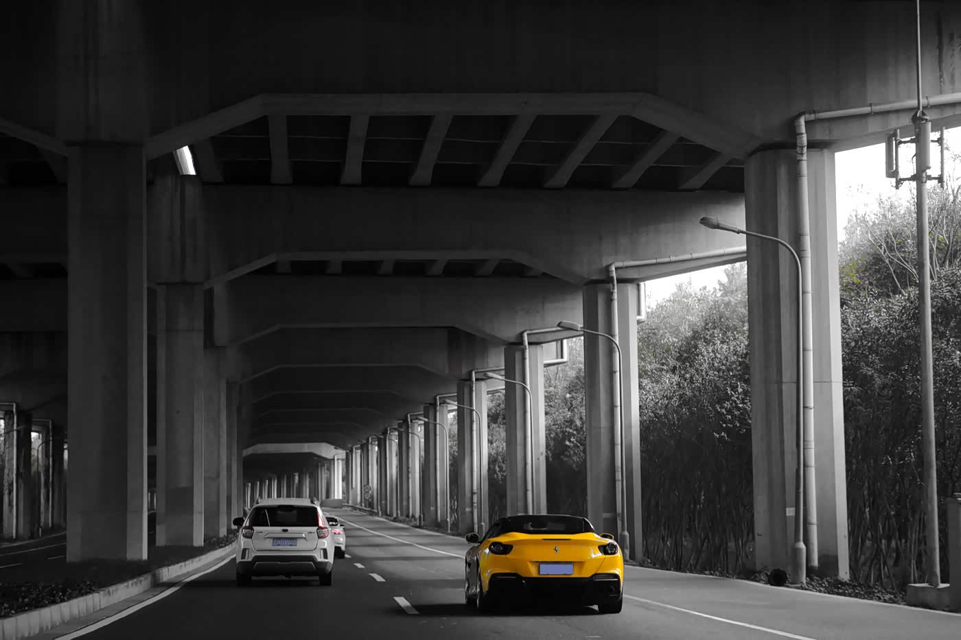 秋日里的一抹亮色