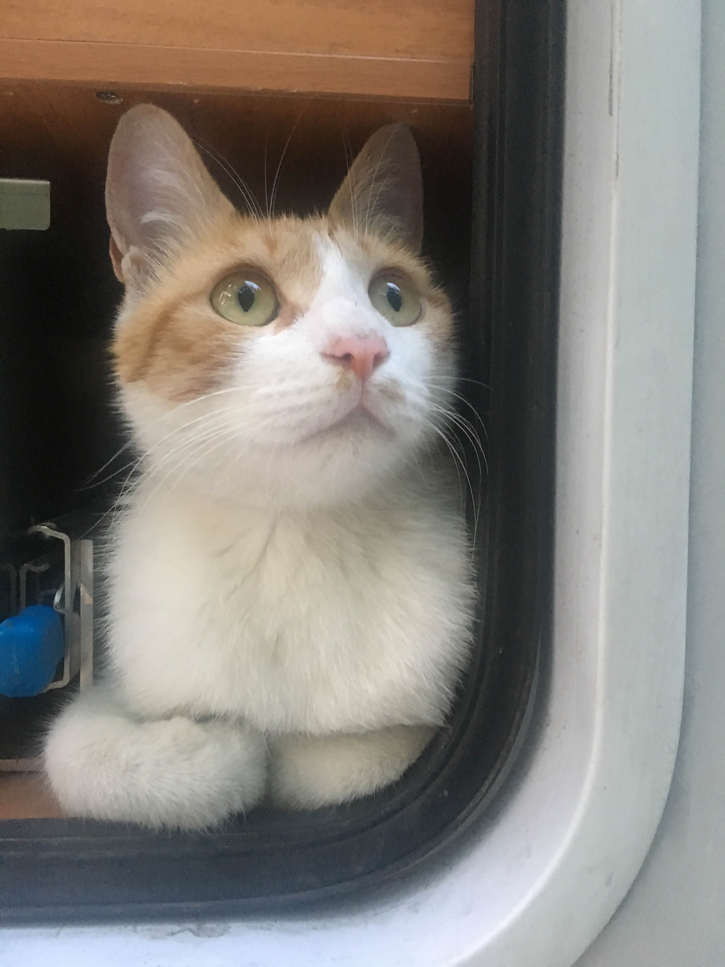 刘能要离开温暖的房车，不得不住宾馆了