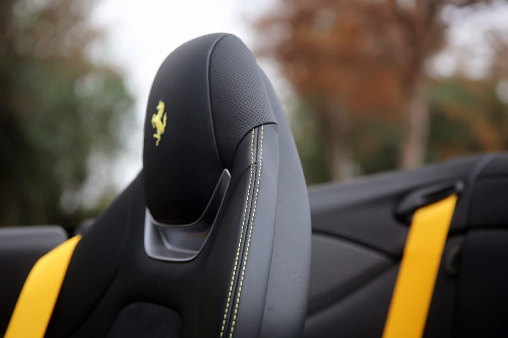 做工和用料很好， 头部金色刺绣跃马画龙点睛