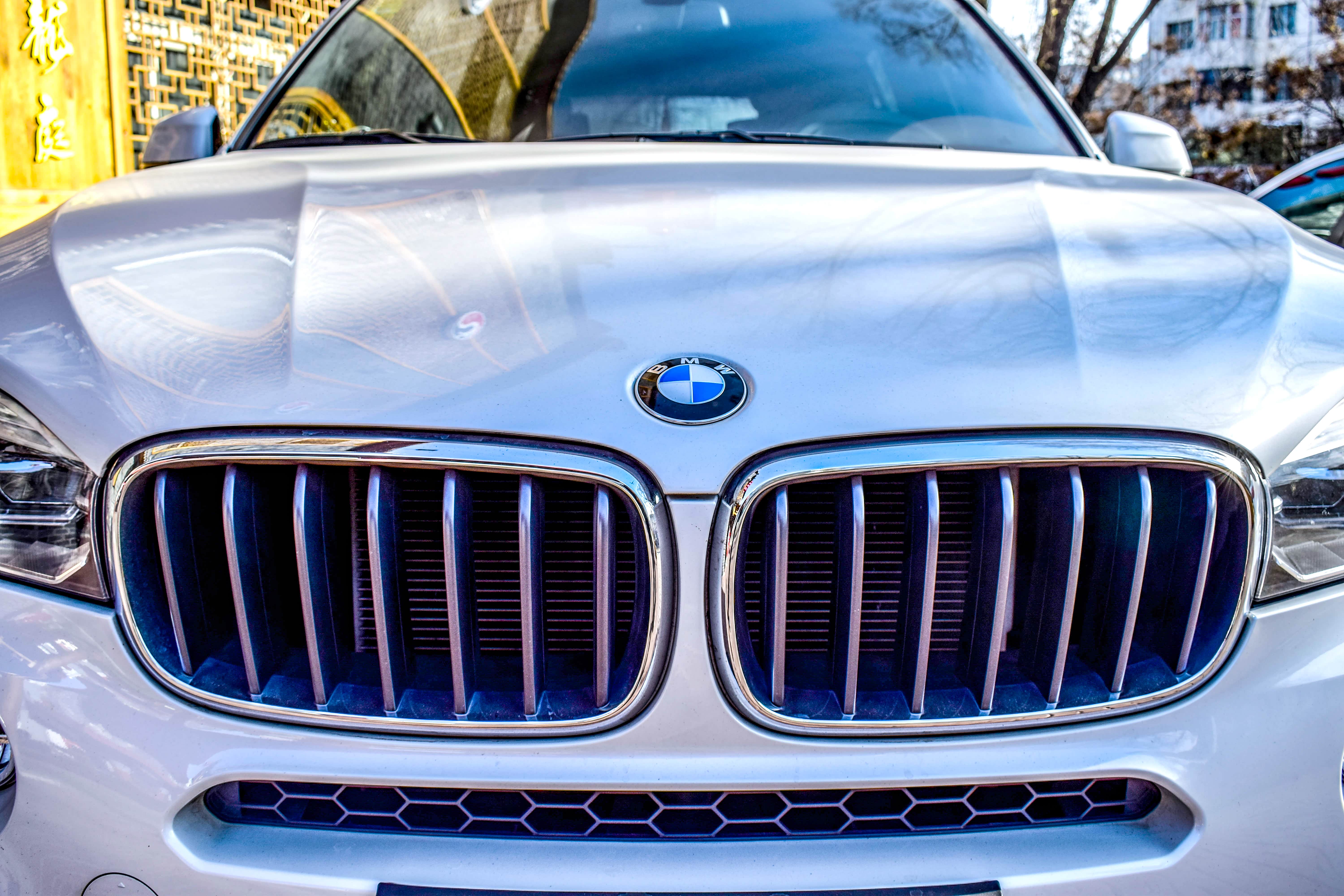 家族式的前脸设计