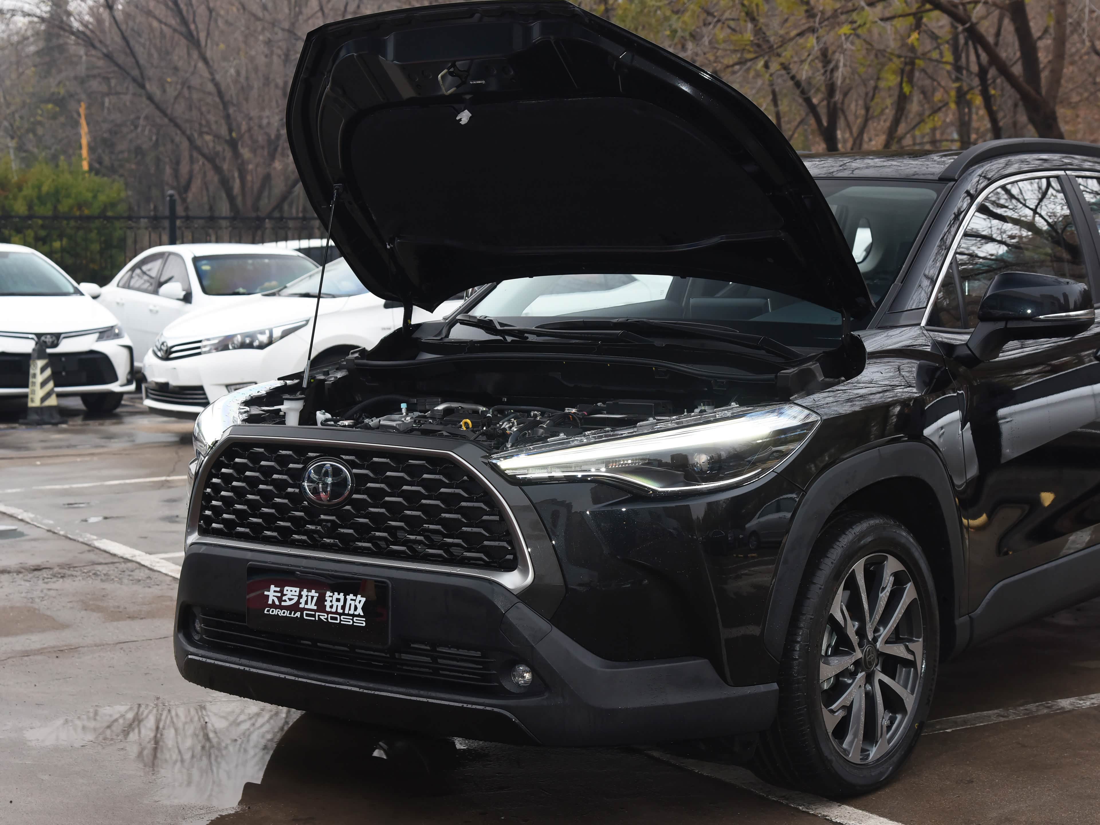 /引自汽车之家图库