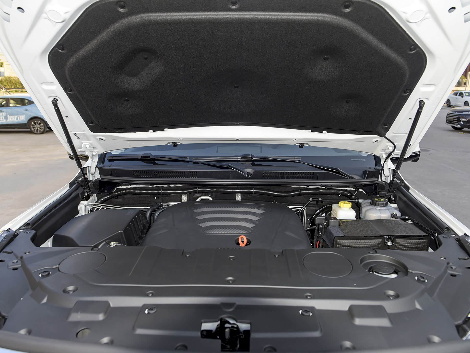 /引自汽车之家图库