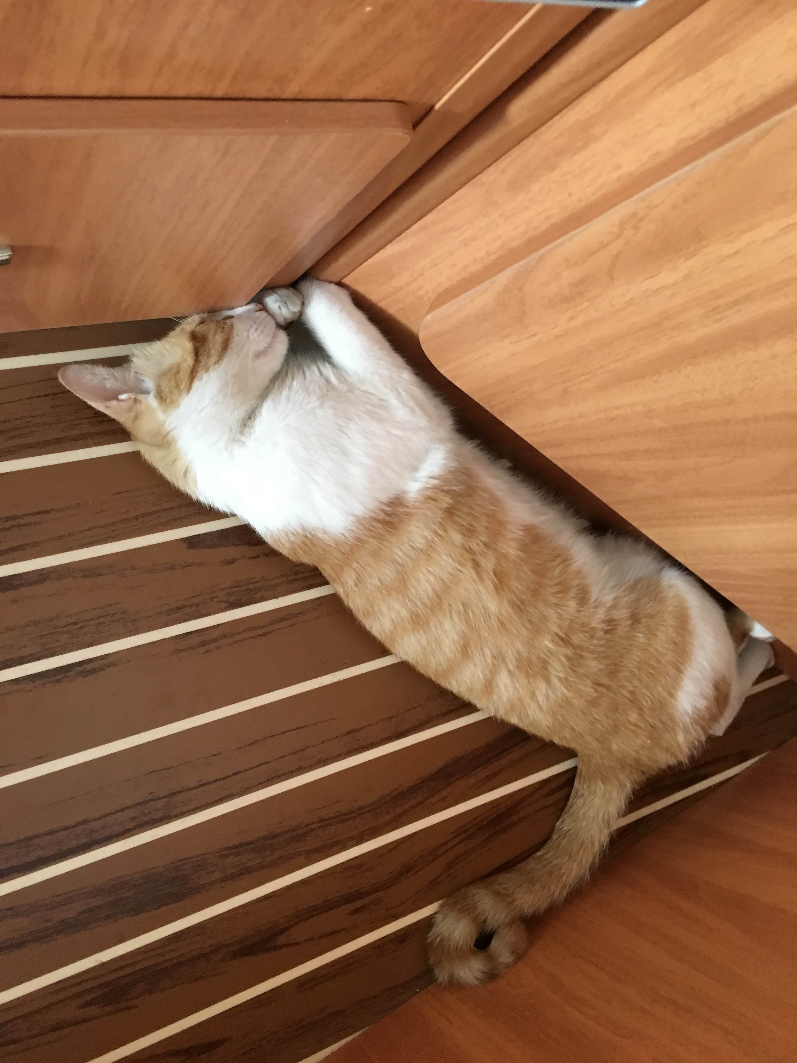 随着南下，天气越来越热，刘能越来越喜欢地板了