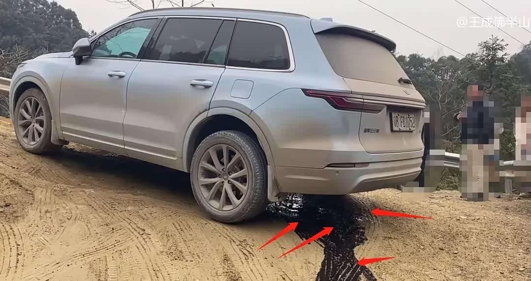 理想one事件相关视频截图