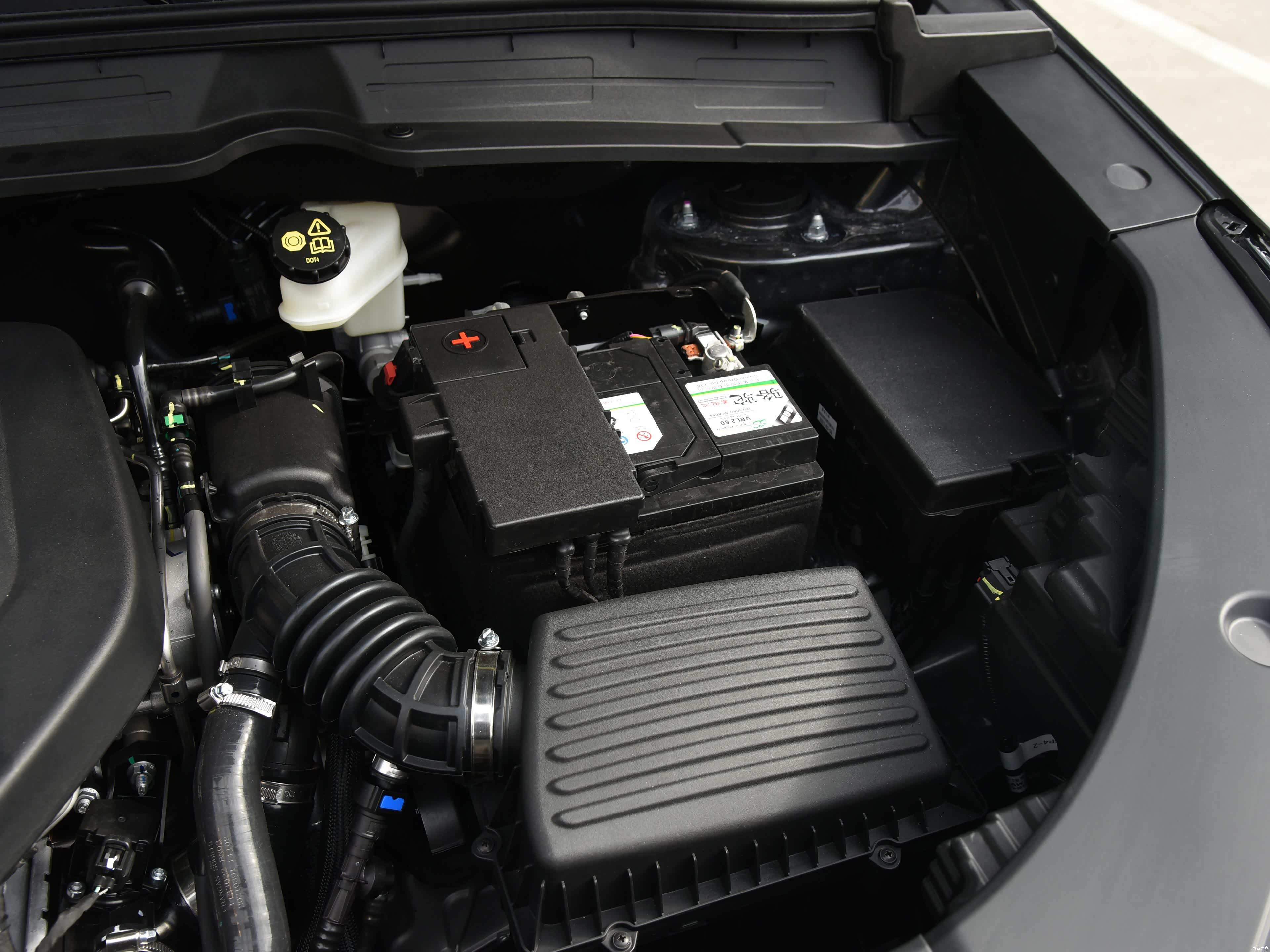 2022款 蓝鲸版 基本型/引自汽车之家图库