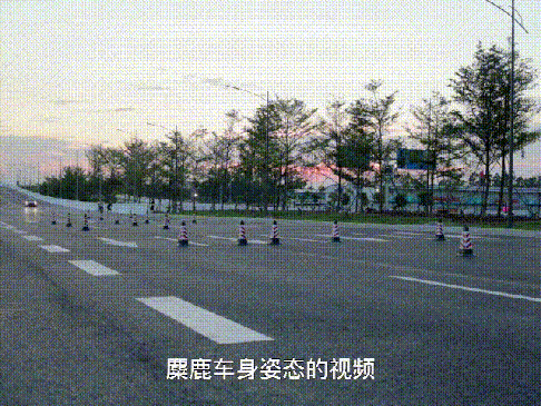 麋鹿测试动态图