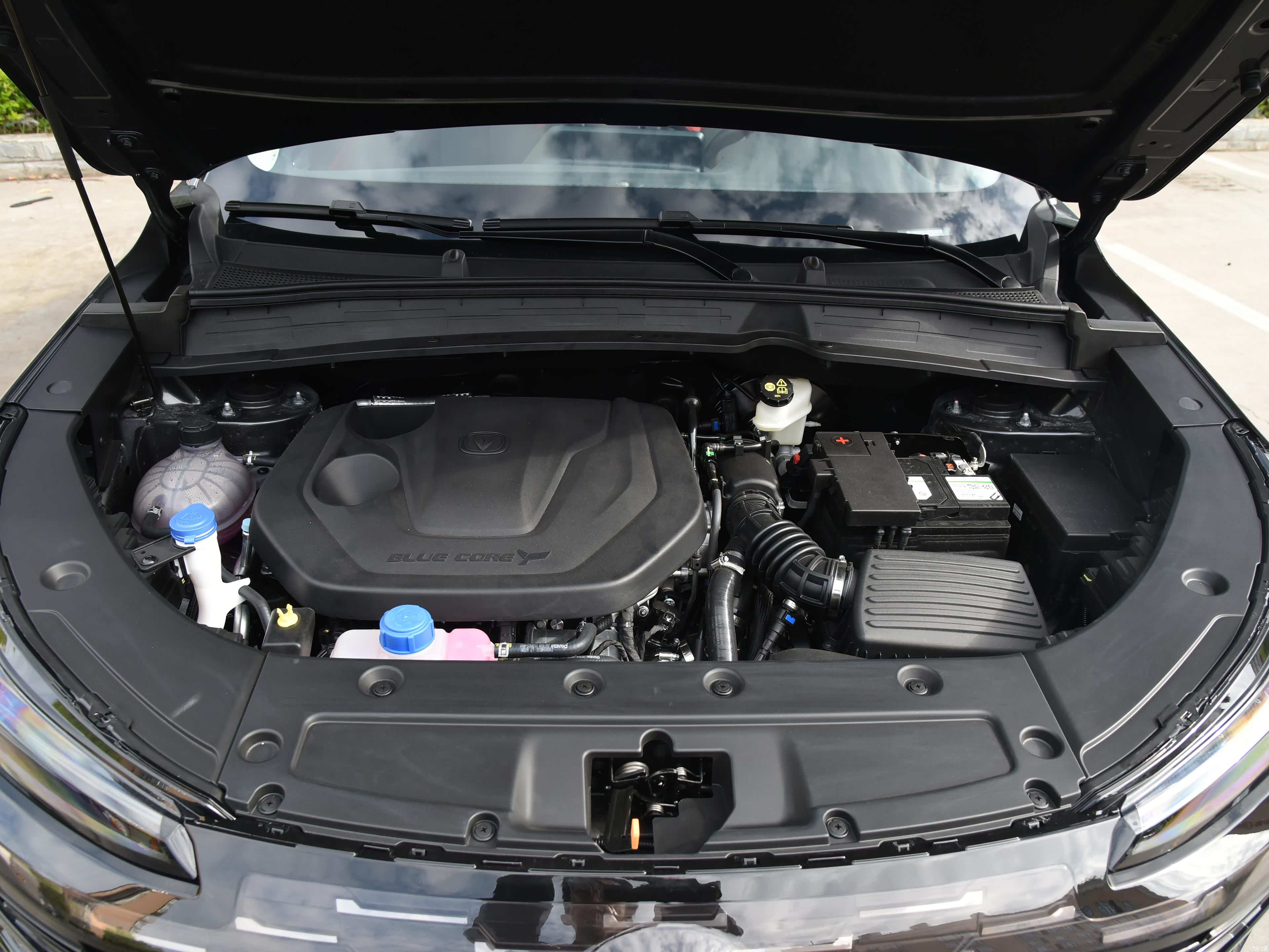 2022款 蓝鲸版 基本型/引自汽车之家图库